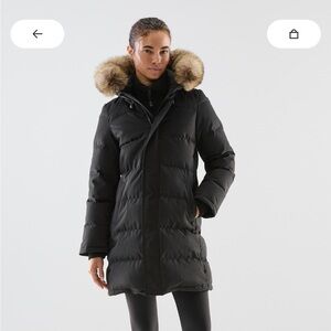 Aritzia Powder Parka